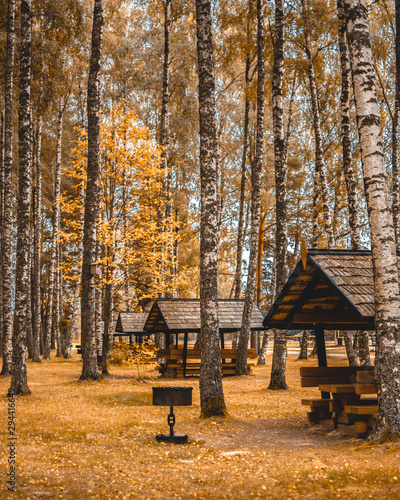 Autumn colors in camping by the Veczemju clifs, Latvia.