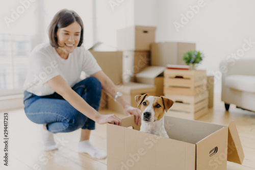 Happy young female house owner poses near cartboard box with favourite pet, have fun during day of relocation, poses in living room with stacks of carton containers with personal belongings. © VK Studio