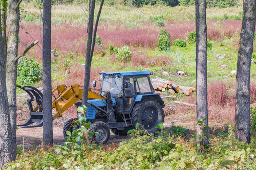 Industrial deforestation by forestry workers using machinery