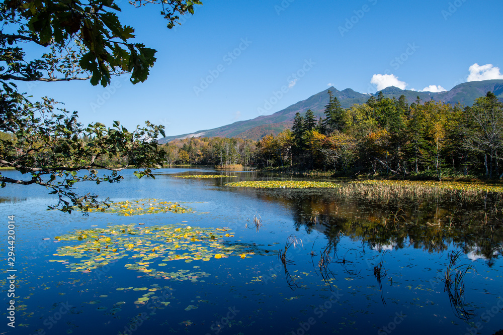 Naklejka premium 秋の知床 知床五湖【三湖】と知床連山（北海道・斜里町）