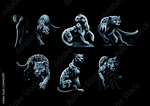 Wild cats. Jaguar, cheetah, leopard, panther.