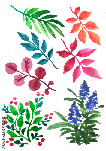 Set of leaves and watercolour flowers. Floral colorful collection. Flowers for design invitations and greeting cards. © Morgan Ph