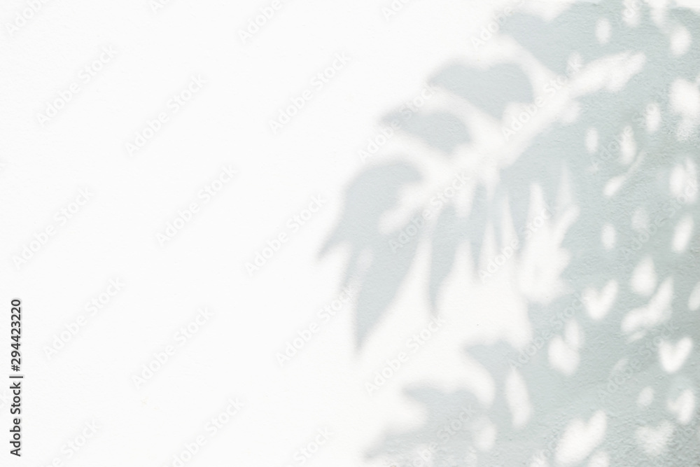 Leaves shadow background on white wall texture Leaves shadow background on white wall texture