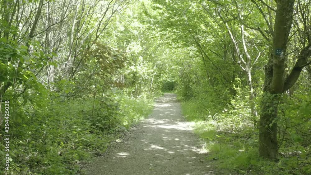Path in the forest park (Parc Galamé, France) d-log