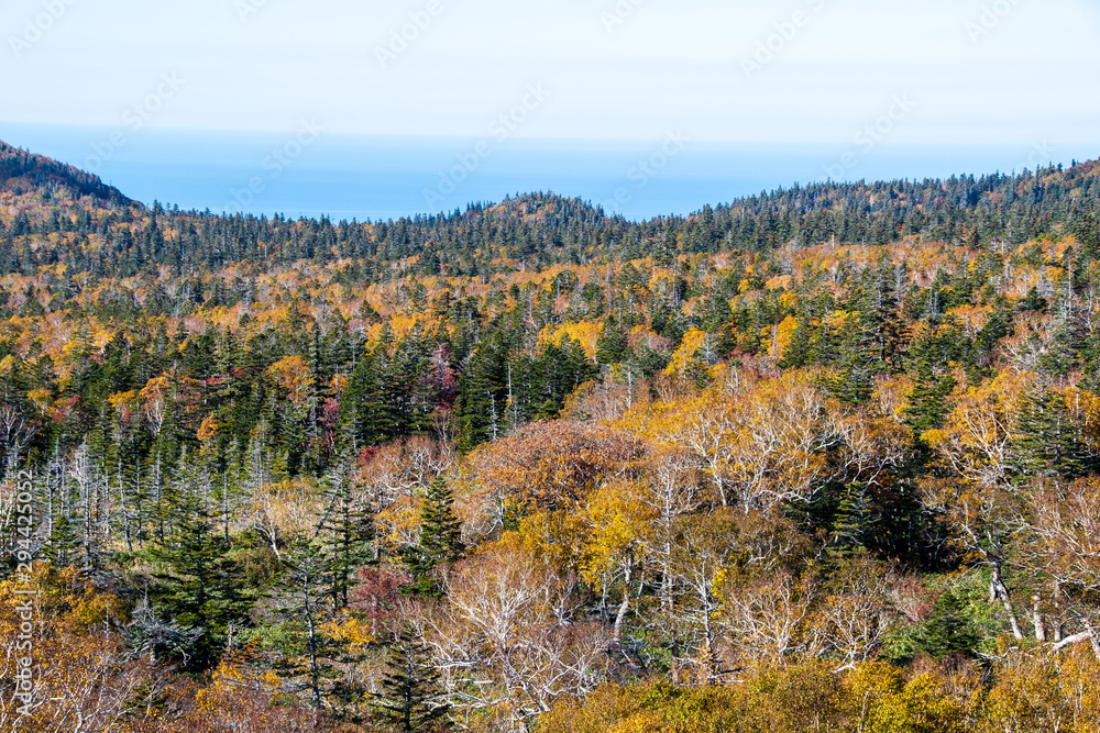 秋の知床　知床横断道路から見る紅葉の原野とオホーツク海（北海道・斜里町）
