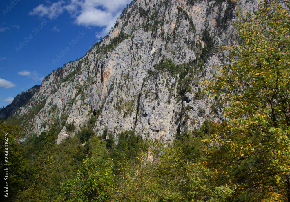 Mountain summer landscape. Canyon in Montenegro.