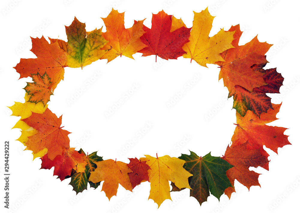 autumn leaves frame autumn leaves frame