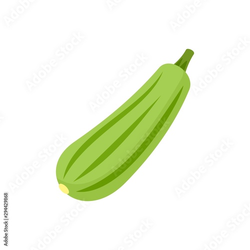 Bottle gourd icon. Flat illustration of bottle gourd vector icon for web design
