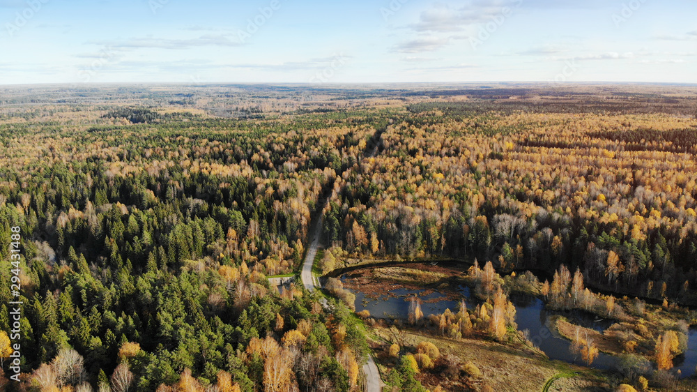 Aerial view of autumn forest, road, river and sky. Top view from flying drone.