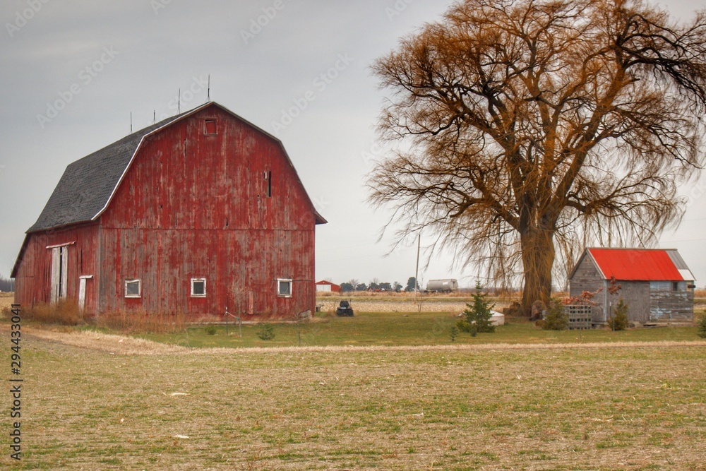 Fototapeta premium 0616 - Loomis Road Red (0616-BAR-120417-0228P)