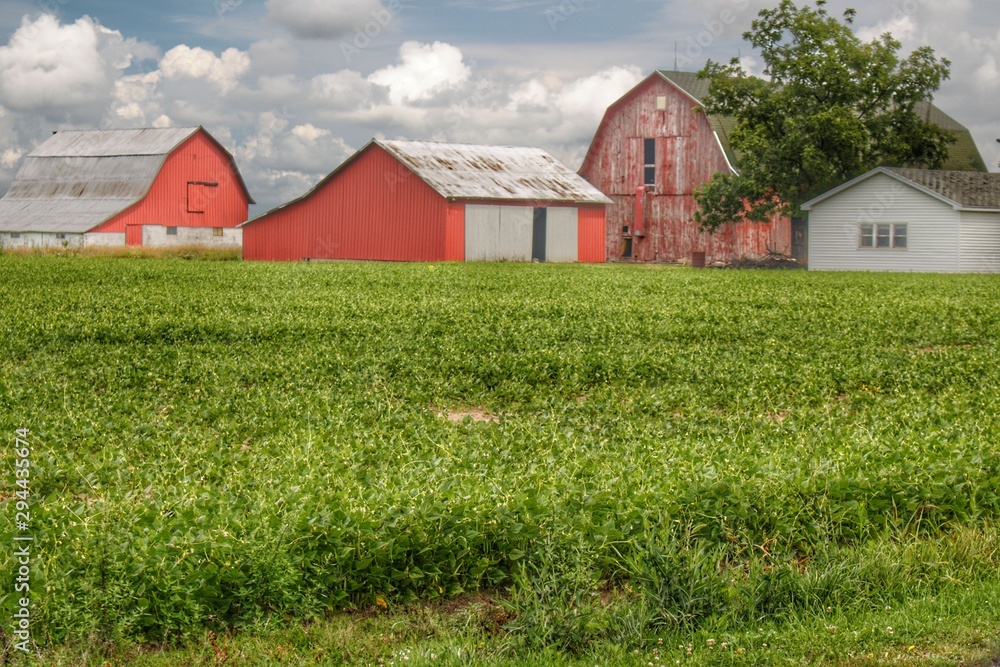 Obraz premium 0649 - Roadside Trio (0649-BAR-08807177-0133P)