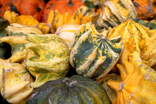 Many different pumpkins in different strange forms
