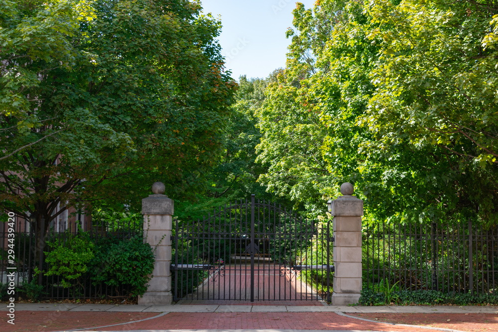 Gate Entrance to a Mansion lined with Green Trees