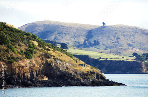Dunedin coastal landscape with contrasting graffiti shelter, South Island, New Zealand