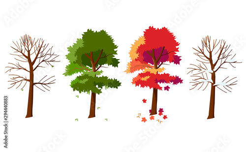 Maple in four seasons. Maple in winter. Maple in spring. Maple in summer. Maple tree in the fall. The tree changes its appearance with the change of season.