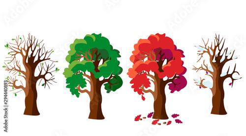 Oak tree in four versions. Four seasons: autumn, winter, spring, summer. The tree changes its appearance with the change of season.  Vector illustration in cartoon style.