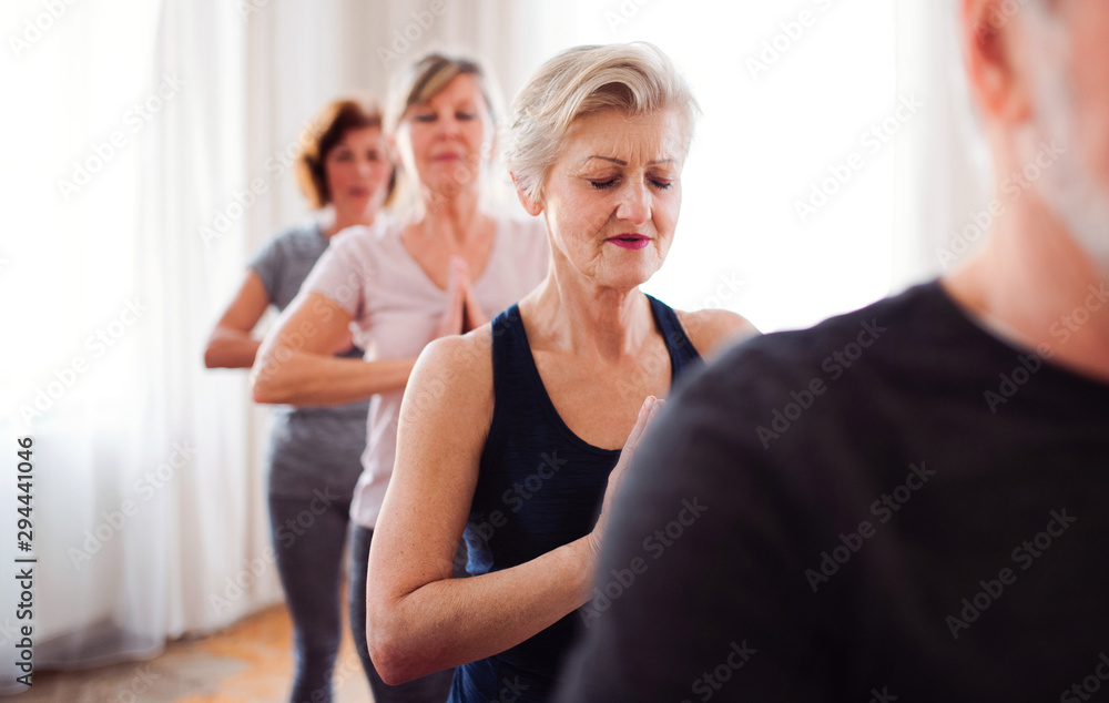 Fototapeta premium Group of senior people doing yoga exercise in community center club.