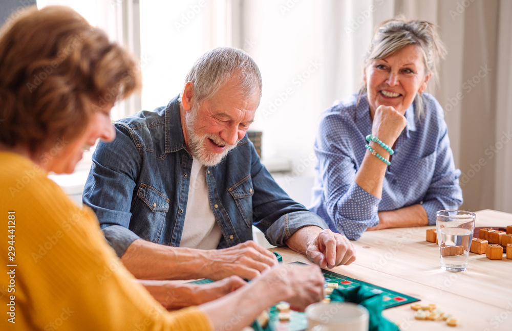 Group of senior people playing board games in community center club. Group of senior people playing board games in community center club.