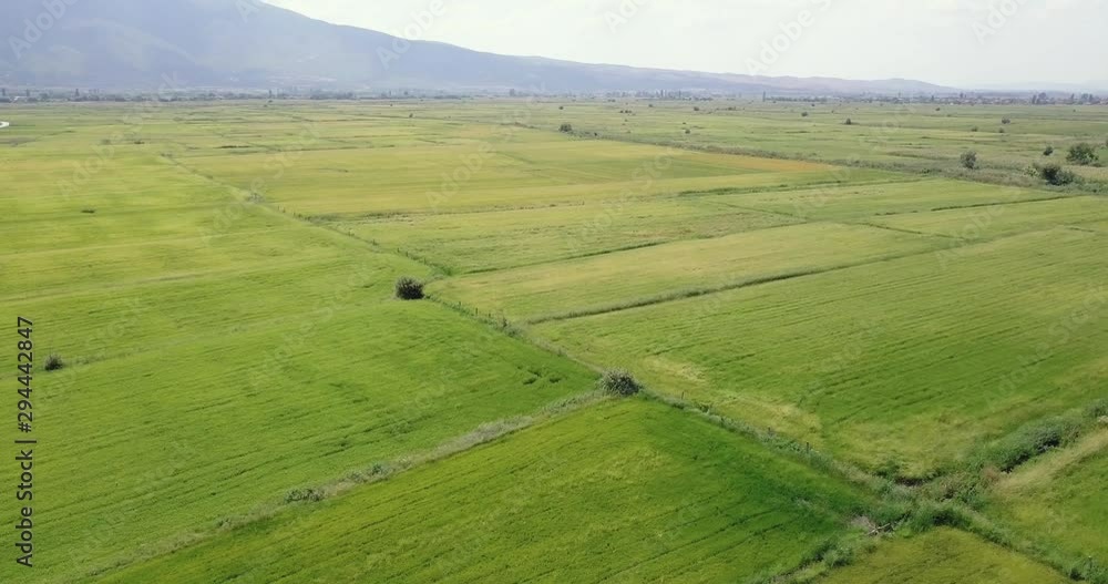 Aerial view of rice field next to the mountain Aerial view of rice field next to the mountain