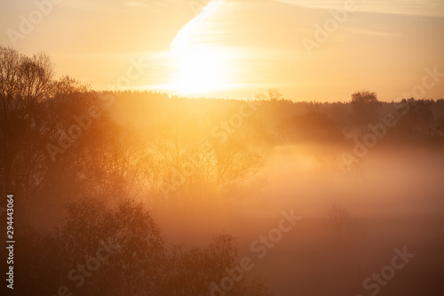 Misty forest landscape in the morning  Russia