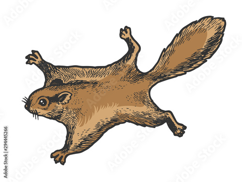 Flying squirrel animal sketch engraving vector illustration. Tee shirt apparel print design. Scratch board style imitation. Black and white hand drawn image.