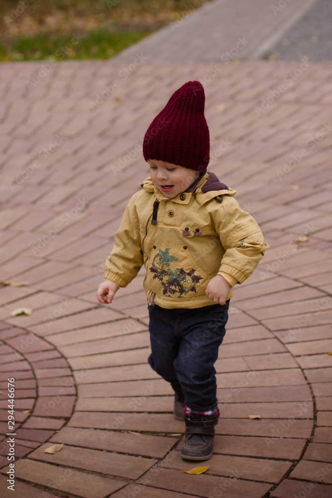 little boy walks in the park in autumn little boy walks in the park in autumn