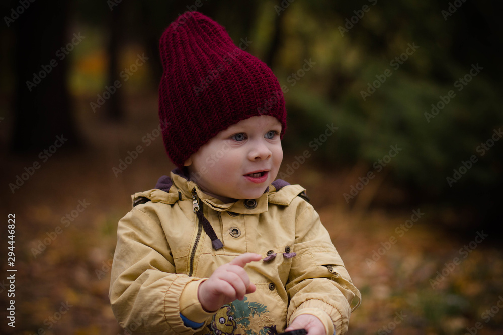 portrait of a little boy in a knitted hat in autumn smiling portrait of a little boy in a knitted hat in autumn smiling