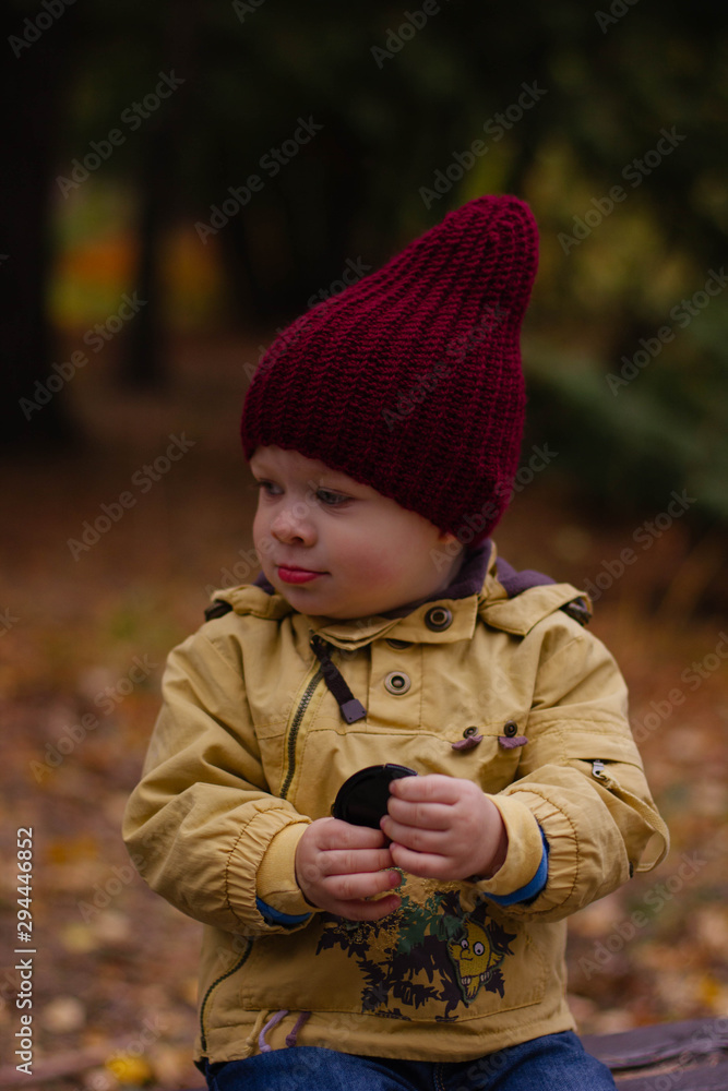 portrait of a little boy in a knitted hat in autumn portrait of a little boy in a knitted hat in autumn