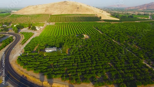 Panoramic views of Lemon Cove area, covered with numerous citrus plantation, California, USA photo