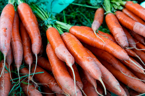 .Carrot close-up. Beautiful vegetable background.