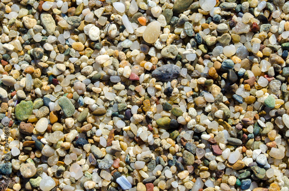 Pebble beach. Small colored sea stones close-up. Multicolor seabed. Selective focus image, copy space. Sea beach backdrop. Summer holiday concept.