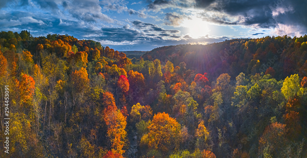 Plakat Aerial Drone view of colorful top of the forest at Autumn