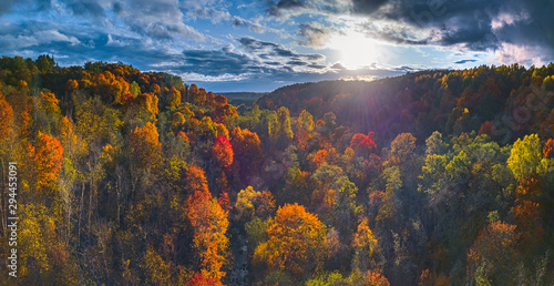 Aerial Drone view of colorful top of the forest at Autumn © lukjonis
