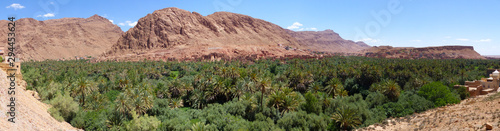 Oasis landscape. Todra Palmeraie. Tinerhir. Desert Morocco.