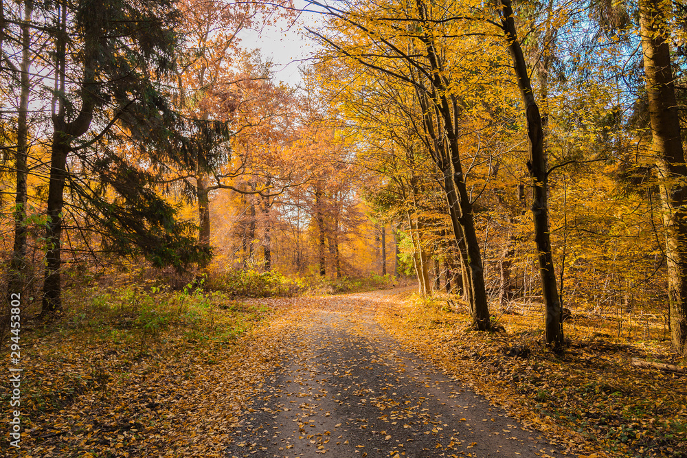 Naklejka premium Hebst