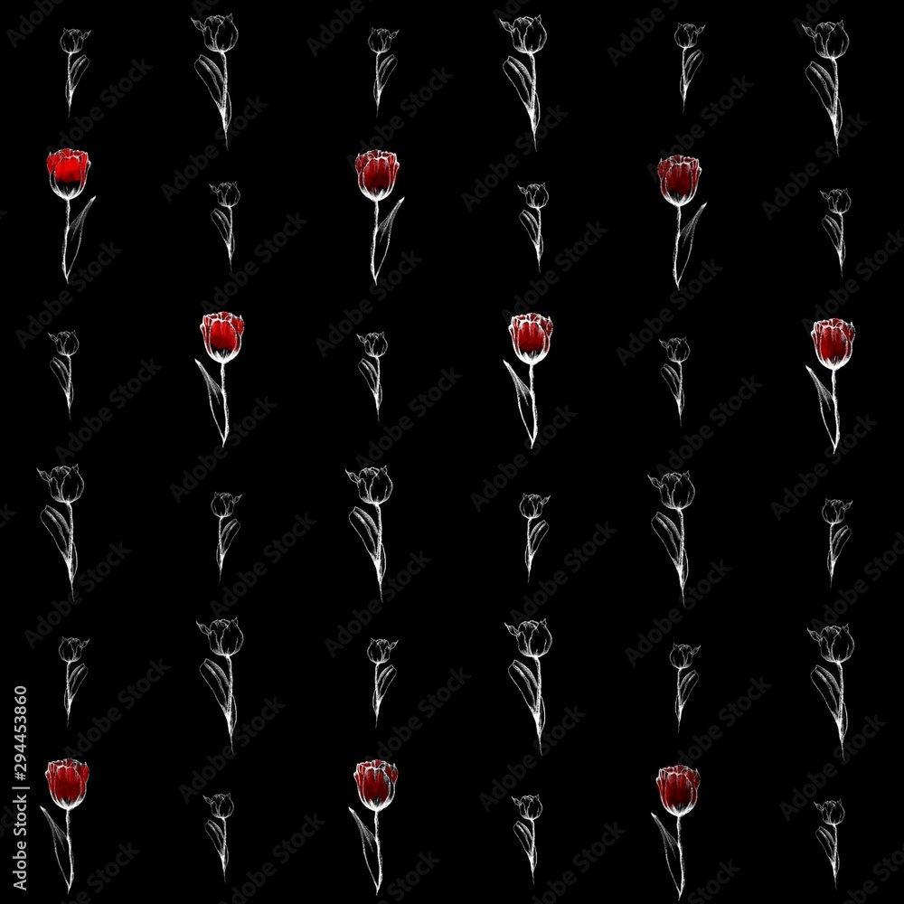 Tulips black&red Tulips black&red