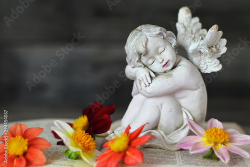 Cherub angel and dahlia flowers on open book © izzzy71