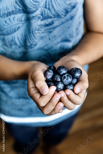 Hands holding freshly picked blueberries, summer harvest and healthy eating concept