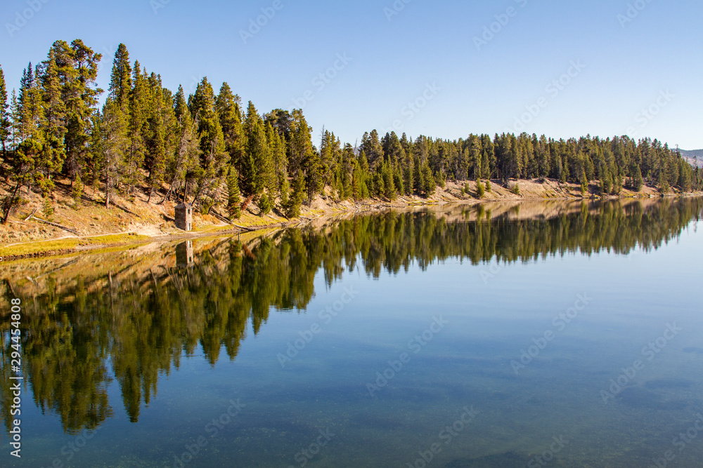 Shoreline of Yellowstone River with Tree Reflections, Yellowstone, Wyoming