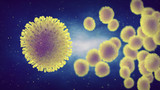 Influenza viruses infecting host organism, Seasonal influenza/flu vaccines