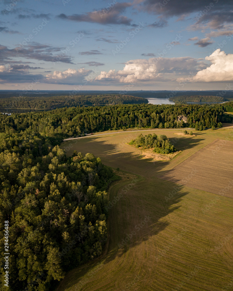 Aerial view of wheat fields and a forest