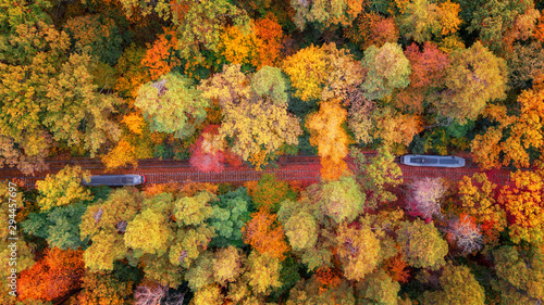 aerial veiw of colorful forest and train on the railway. amazing autumn background. bird s eye  drone shot