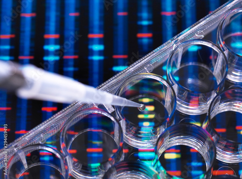 DNA Research, Samples of DNA in a multi well plate ready for analysis with DNA results in the background photo