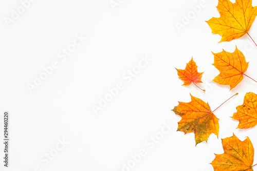 Autumn flat lay background with fallen leaves on white.