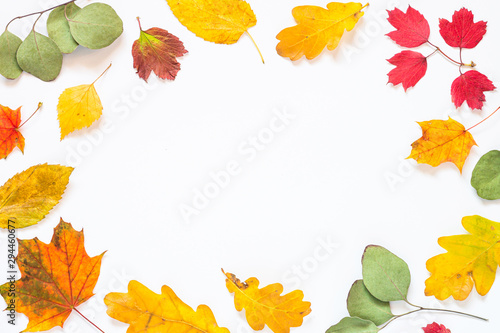 Autumn flat lay background with leaves on white.