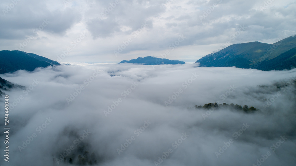 Low clouds in forest after the rain Low clouds in forest after the rain