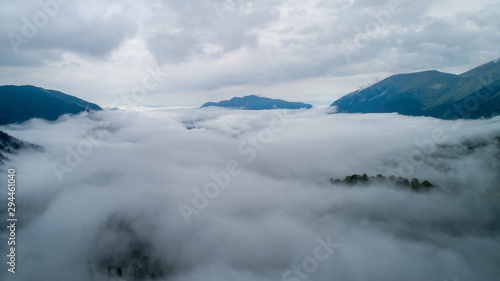 Low clouds in forest after the rain © Jasper