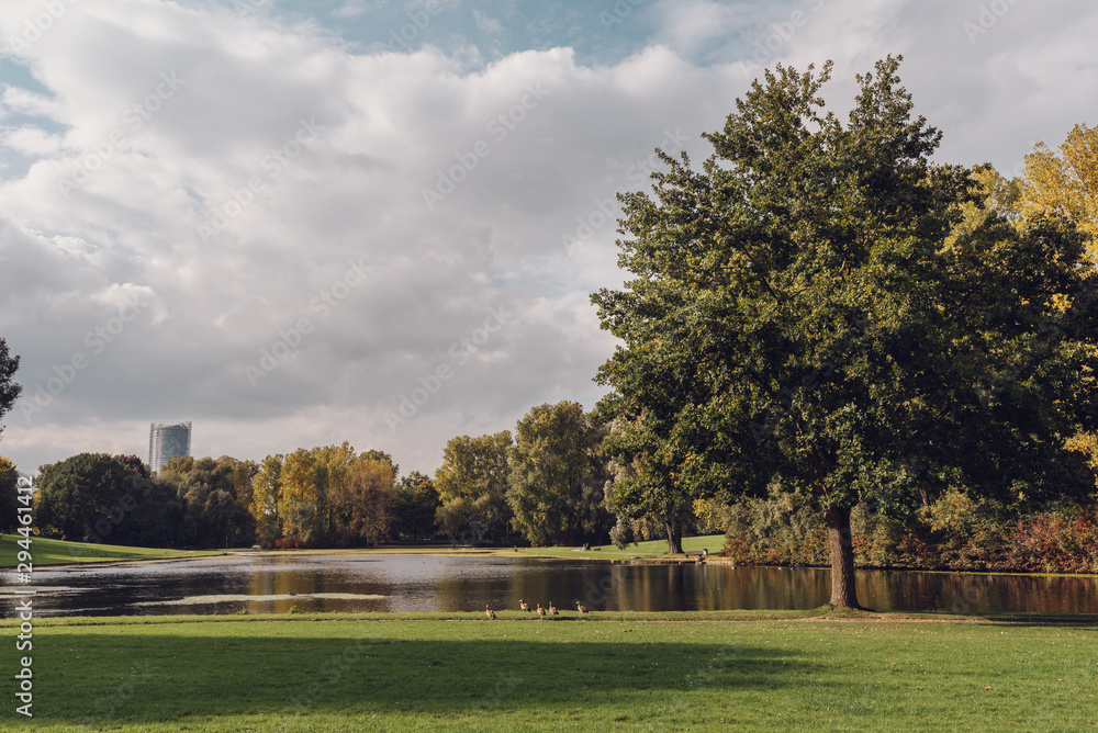 Empty park in autumn with a green tree, pond, green grass and some ducks on a cloudy sunny fall day