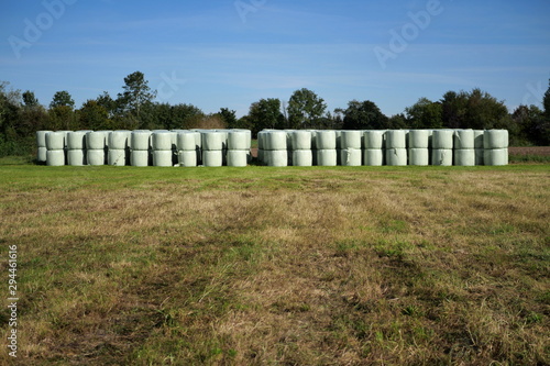 Runballs, hay bales wrapped in foil and stacked on top of each other for storage