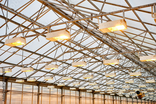 Wallpaper Mural Greenhouse warming lights Torontodigital.ca